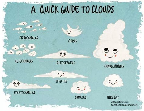 Funny way to remember the types of clouds Cloud Type, Weather Science, Weather Unit, Kid Science, Earth And Space Science, Forest School, Meteorology, Homeschool Science, Nature Study