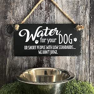 Dogs In Water, Funny Dog Signs, Dogs Quotes, Slate Signs, Dog Cafe, Dog Quotes Funny, Grooming Salon, Pub Signs, Water Signs