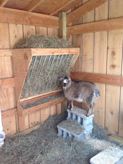 Covered Goat Feeder, Goat Hay Feeder Ideas, Hay Manger For Goats, Goat Feeder Ideas, Goat Feeders Ideas Hay, Animal Barn Ideas, Diy Goat Feeder, Sheep Hay Feeder, Hay Feeder For Goats