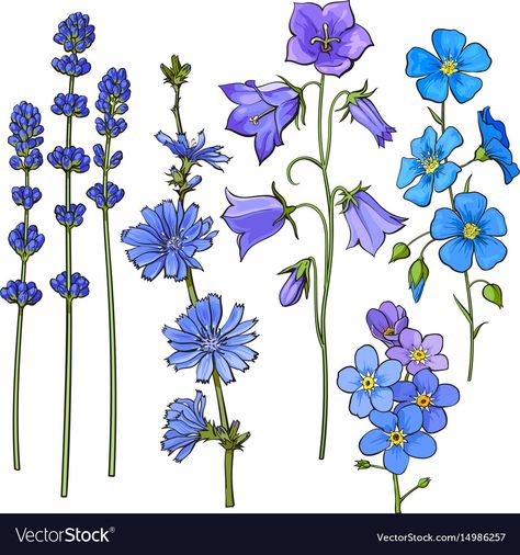 Realistic Hand Drawing, Wildflower Drawing, March Themes, Bell Art, Blue Bell Flowers, Flower Sketches, Sketch Style, Meadow Flowers, Graphic Tshirt Design