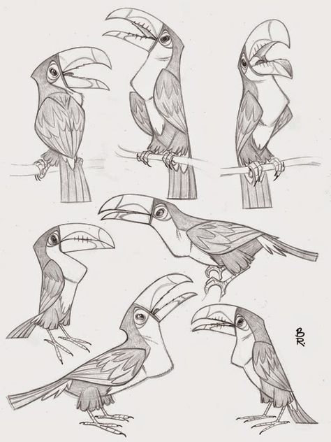 Toucan Character Design, Toucan Drawing, Toucan Illustration, Love Character Design, Love Character, Animal Study, Desenho Tattoo, Animal Sketches, Bird Drawings