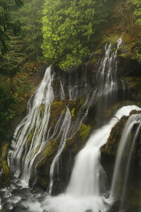 https://flic.kr/p/7hEvKz | Wonder | View On BlackThe main falls, Panther Creek, Washington. Future Travel, Pacific Northwest, North West, Panther, Maine, Road Trip, Washington, Wonder, Road