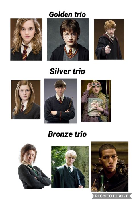 Golden trio:Harry Ron Hermione Silver trio: Ginny Neville Luna Bronze trio: Pansy Draco Zabini Golden Trio X Bronze Trio, Harry Potter Bronze Trio, The Silver Trio Harry Potter, Bronze Trio Harry Potter, Neville X Luna, Silver Trio Harry Potter, Hermione X Pansy, Pansy X Hermione, The Bronze Trio