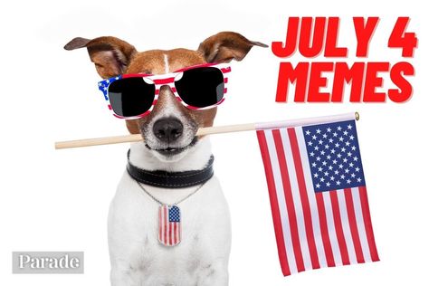 50 4th of July Memes — Funny Fourth of July Memes and July 4 Memes #fourthofjuly #memes #4thofjuly #summermemes #julymemes https://parade.com/1216970/jessicasager/4th-of-july-memes/ American Dog, Happy Fourth Of July, Dog Safety, Happy Memorial Day, Pet Safety, Dog Pin, Happy 4 Of July, Happy Independence Day, Pet Safe