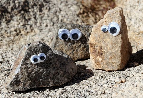 This is my idea of a craft project . . . simple and outdoors!! Rock Pets, Rock Friends, Van Photography, Classroom Camping, Camping Decorations, Camping Fashion, Party Breakfast, Camping Pictures, Camping Photos