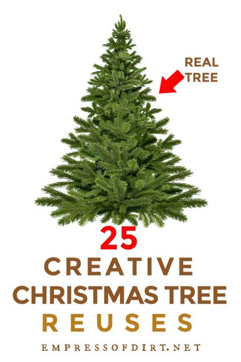 Crafts and decor items to make from your Christmas tree wood after the holidays. #repurpose #xmastrees #empressofdirt Diy Wire Basket, Recycled Christmas Tree, Block Bench, Natural Christmas Tree, Live Christmas Trees, Christmas Tree Branches, Creative Christmas Trees, Real Christmas Tree, Gift Drawing