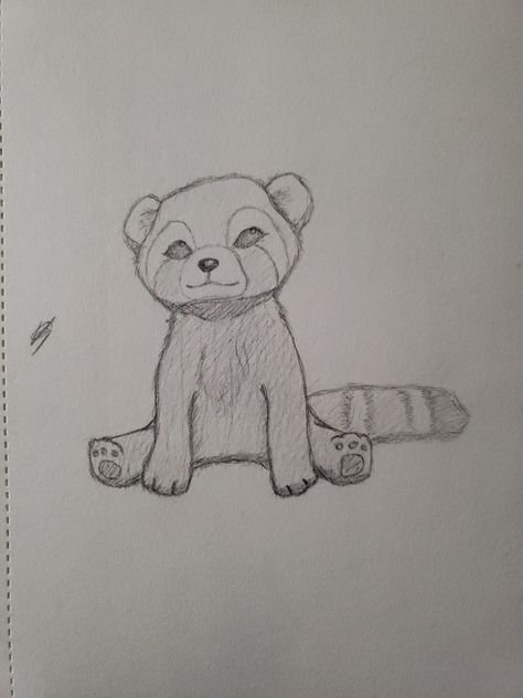 Red panda Red Panda Drawing Easy, Panda Drawing Easy, Red Panda Drawing, Panda Sketch, Panda Drawing, Doodle Art Designs, Red Panda, Doodle Art, Art Designs