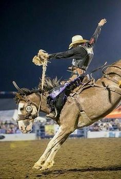 Rider Tattoo, Saddle Bronc Riding, Saddle Bronc, Horse Competition, Bucking Bulls, Bronc Riding, Rodeo Time, Rodeo Cowboys, Cowboy Pictures