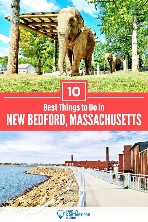 Want to see the most incredible things to do in New Bedford, MA? We’re FamilyDestinationsGuide, and we’re here to help: From unique activities to the coolest spots to check out, discover the BEST things to do in New Bedford, Massachusetts - so you get memories that last a lifetime! #newbedford #newbedfordthingstodo #newbedfordactivities #newbedfordplacestogo New Bedford Massachusetts, Bedford Massachusetts, Van Travel, England Road Trip, Massachusetts Travel, New England Road Trip, East Coast Road Trip, New Bedford, Family Destinations