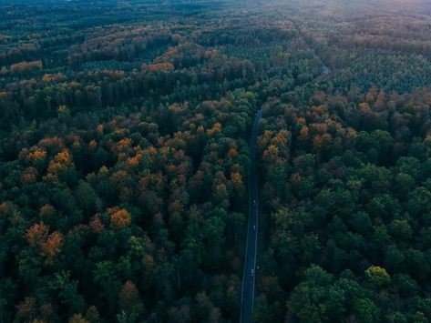 Glamping & Hiking in Black Forest — HER 86m2 - by Thuy Dao Real Life Fairies, Black Forest Germany, The Black Forest, Mystical Forest, Beautiful Forest, Road Trip Fun, Belle Epoque, Basel, Black Forest