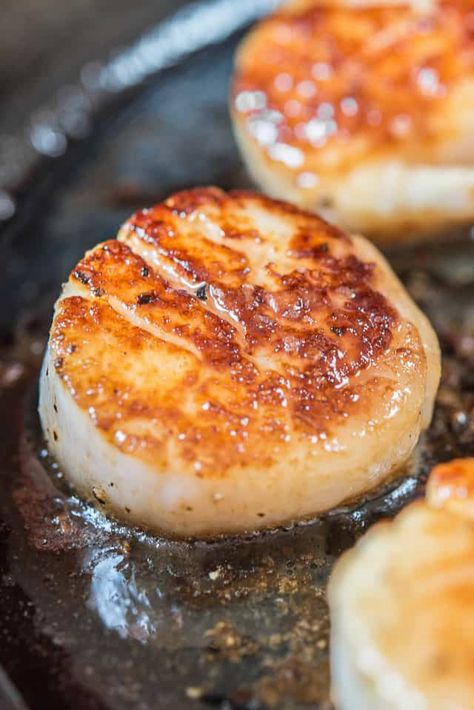 Seared Scallops - Pan Seared Scallops How To Cook Scallops In Cast Iron, Scallops In Cast Iron Skillet, Cast Iron Shrimp Recipes, Pan Fried Scallops Recipes, Cast Iron Scallops, Seared Scallops Cast Iron, How To Cook Scallops In Pan, Seafood Party Food, How To Make Scallops