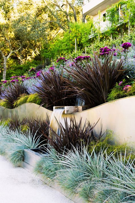 Landscaping Shrubs, Hillside Garden, Drought Tolerant Landscape, California Garden, Front Landscaping, Magic Garden, Garden Route, Mediterranean Garden, Yard Design