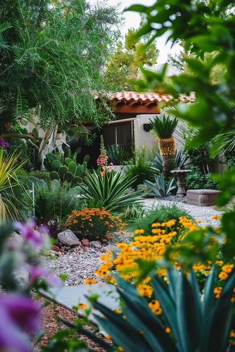 Las Vegas Small Backyard Landscaping Gems Unveiled Desert Entryway Landscaping, Spanish Backyard Landscaping, Small Backyard Desert Landscaping, Colorful Desert Landscaping, Vegas Landscaping Ideas, Az Backyard Ideas, Desert Backyard Ideas, Desert Backyard Landscaping, Arizona Gardens