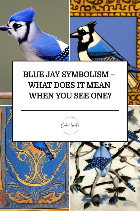 Have you ever seen a Blue Jay and wondered what it meant? Blue symbolism is often associated with intuition, spiritual aspirations, and great strength of character. Blue Jays are also known to be fierce defenders of those they love, as well as being aware of their surroundings. According to animal spiritualist Jordana Van, if you see a blue jay frequently it could be a sign that the bird is coming to serve as your guide in life. So what does Blue Jay symbolism mean for you? Blue Symbolism, Blue Jay Symbolism Meaning, Blue Jay Feather Meaning, Stellar Jay Spiritual Meaning, Seeing Blue Jays Meaning, Blue Jay Meaning, Spiritual Meaning Of Blue Jays, Meditation Signs, Blue Jay Spiritual Meaning