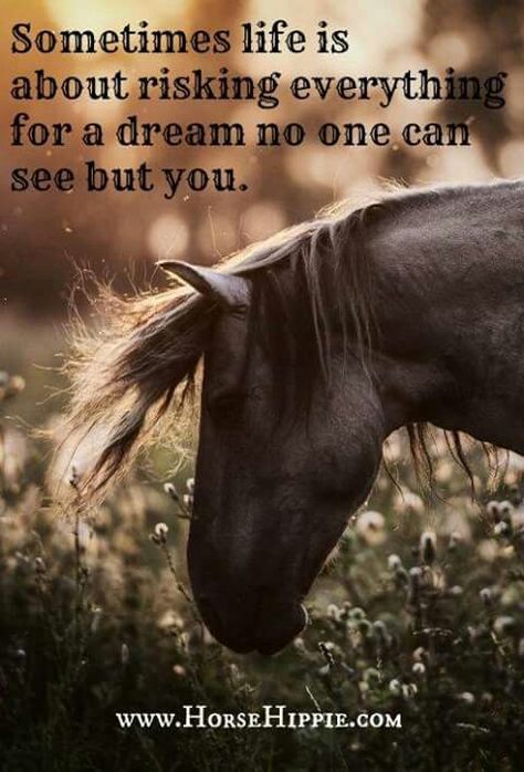 Rodeo Quotes, Equine Quotes, Barrel Racing Quotes, Cowgirl Quote, Horse Quotes Funny, Inspirational Horse Quotes, Horse Riding Quotes, Equestrian Quotes, Cowboy Quotes