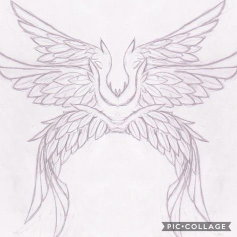 3 Wings Drawing, Wing Reference Drawing Angel, Double Wings Drawing, 3 Pairs Of Wings Drawing, Wing Structure Drawing, Huge Wings Drawing, Angel Body Drawing, Angelic Wings Drawing, Angle Drawing Reference Wings