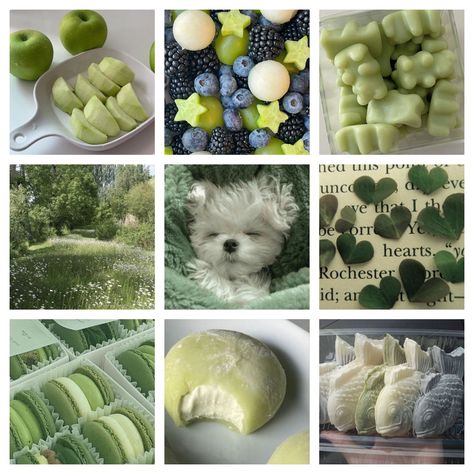 Fruit Mood Board, Green Moodboard Aesthetic, Animal Moodboard, Green Aesthetic Moodboard, Dog Moodboard, Tropical Moodboard, Food Moodboard, Green Moodboard, Dog Nature