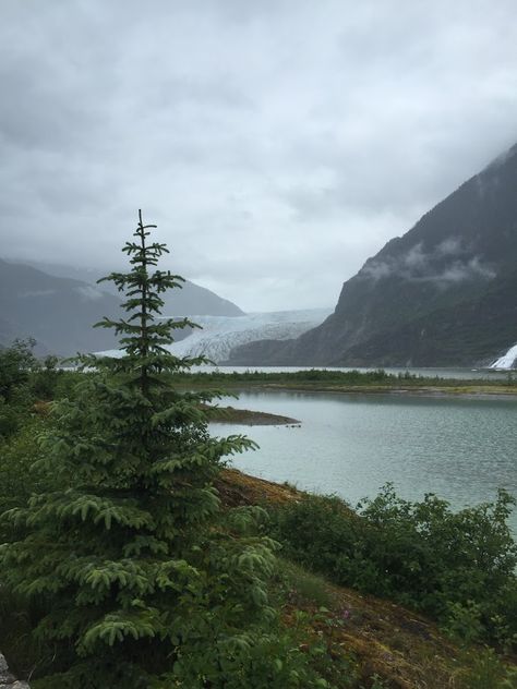 Juneau Alaska Photography, Juneau Alaska Aesthetic, Alaskan Aesthetic, Alaskan Landscape, Alaskan Summer, Alaskan Mountains, Alaskan Wildlife, Alaskan Wilderness, Moving To Alaska