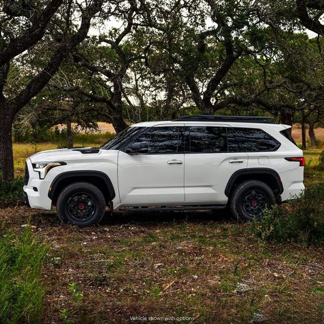 2023 Sequoia, Toyota Sequoia Trd Pro, 2023 Toyota Sequoia, Toyota Sequioa, Coastal Redwood, Toyota Usa, Full Size Suv, Large Suv, Trd Pro