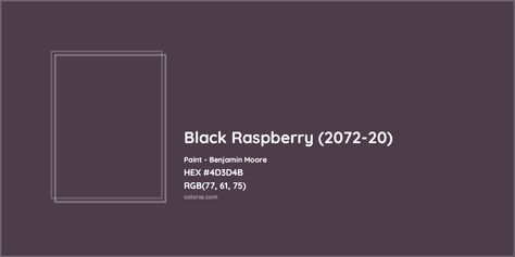 Benjamin Moore Black Raspberry (2072-20) Paint color codes, similar paints and palettes Benjamin Moore Black Raspberry, Raspberry Paint, Benjamin Moore Black, Moody Purple, Munsell Color System, Rehab Addict, Analogous Color Scheme, Paint Color Codes, Rgb Color Codes