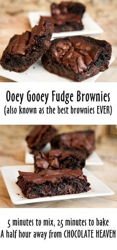 Sour Cream Brownies Recipes, Brownie Recipes Gooey, Ooey Gooey Brownies, Gooey Brownies Recipe, Brownies Gooey, The Best Brownies Ever, Best Brownies Ever, The Best Brownies, Brownies From Scratch