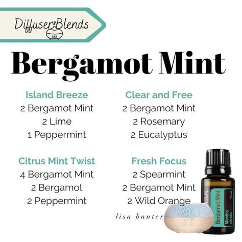 Bergamot Mint Diffuser Blend, Diy Wax Melts, Essential Oil Remedy, Diy Wax, Oil Remedies, Diffuser Blend, Wild Orange, Essential Oil Diffuser Blends, Oil Diffuser Blends