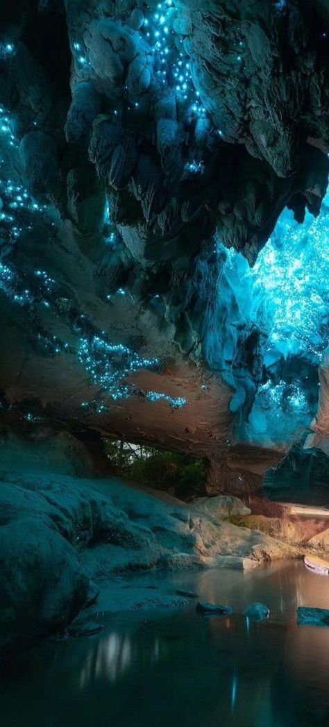 Waitomo Glowworm Caves, Nova Zelândia Cave Hot Spring, Cave Fantasy Underworld, Underwater Cave Aesthetic, Luminescent Cave, Bioluminescent Cave, Under Water Cave, Underwater Grotto, Cave With Water, Gem Cave