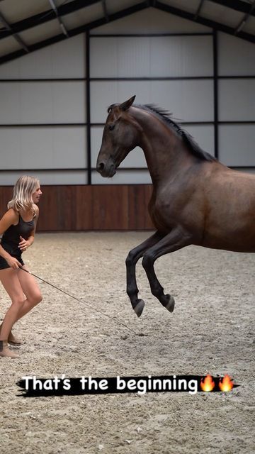 Yvet Blokesch on Instagram: "A question I often get, is how to teach this dance? 🤩 So as a Monday Motivation, I give you some tips with a horse that's new to this 🔥 Look at her try 🥺😍 Learn more about my way of training at www.featherlightacademy.com 🐎" Horse Dressage, Dance With You, A Horse, Dressage, Monday Motivation, My Way, Instagram A, Look At, Horses