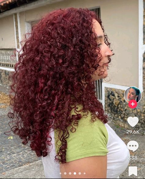 Curly Dyed Red Hair, Red Hair On Curly Hair, Red Curly Hair Dyed, Type 4c Hairstyles, Dyed Curly Hair, Brown Curly Hair, Red Curly Hair, Dyed Red Hair, Dark Red Hair