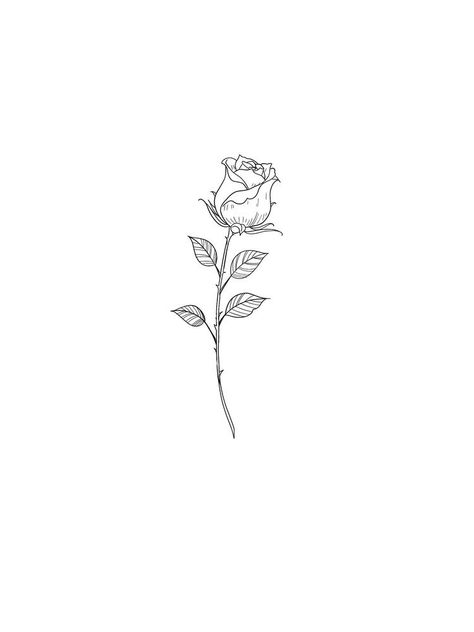 Rose Fine Line Drawing, Rose Fine Line Tattoo Design, Closed Rose Tattoo, Rose With Stem Tattoo, Rose Stem Tattoo, Tattoo Silhouette, Simple Rose Tattoo, Roses Background, Brain Tattoo