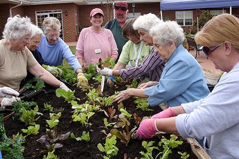 Gardening programs for seniors Senior Gardening, Gardening Club, Home Care Services, French Wallpaper, City Plan, Qhd Wallpaper, Sensory Garden, Aged Care, Retirement Community