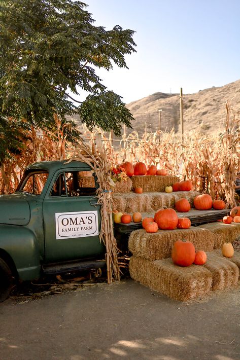 Pick Your Own Pumpkin Patch, Pumpkin Patch Photo Booth, Dollywood Fall, Pumpkin Patch San Diego, Pumpkin Patch Ideas, Pumpkin Patch Business, Pumpkin Village, Pumpkin Patch Activities, Pumpkin Patch Aesthetic