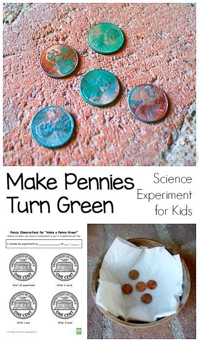 Science Experiment for Kids: Explore chemical reactions by making copper pennies turn green (just like The Statue of Liberty)! ~ http://BuggyandBuddy.com Science Experience, Experiments Kids, Science Camp, Kid Science, Summer Science, Science Crafts, Kid Experiments, Science Activities For Kids, Fair Projects