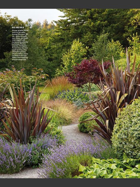 Australian Native Cottage Garden, Pnw Landscaping, Australian Native Garden Design, Condo Garden, Terraced Garden, Australian Garden Design, Blue Juice, Backyard Layout, Australian Native Garden