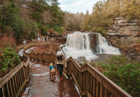 Plan a weekend in Blackwater Falls State Park, West Virginia! Learn about the best hikes, scenic viewpoints, waterfalls, and where to stay. West Virginia Hiking, Things To Do In Virginia, Blackwater Falls State Park, Monongahela National Forest, West Virginia Travel, Blackwater Falls, Skyline Drive, Largest Waterfall, Natural Bridge