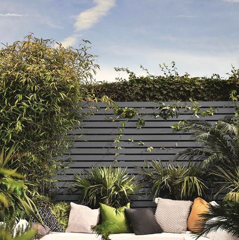 Garden fence paint colours Dark Blue Fence Garden, Dark Grey Fence Paint, Paint Backyard Fence, Woodland Grey Fence, Garden Fence Paint Ideas, Painted Fences Ideas Backyards, Charcoal Fence, Fence Colour Ideas, Painted Garden Wall