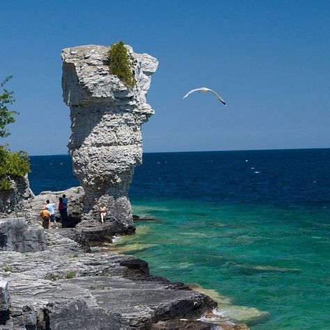 Flowerpot Island, Tobermory Ontario, Bruce Peninsula National Park, Bruce Peninsula, Before The Flood, Glass Bottom Boat, Ontario Travel, Lake Huron, Boat Tours