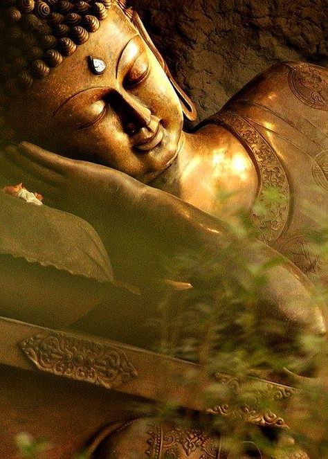 Sleeping Beauty Sleeping Buddha, Buddha Garden, Buddha Temple, Buddhist Philosophy, Buddha Zen, Gautama Buddha, Zen Buddhism, Buddha Meditation, Zen Meditation