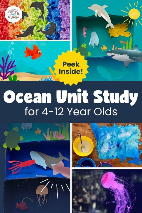 Learn all about the ocean with this amazing unit study! The science and learning is overflowing with this one. Children of all ages will enjoy the hands on activities and deep, engaging learning that takes place as they learn about jellyfish, dolphins, currents, ocean waves, and the various layers of the ocean as well! 3rd Grade Ocean Projects, Under The Sea Elementary Activities, Ocean Layers For Kids, Marine Science Activities, Layers Of The Ocean Craft, Ocean Exploration Activities, Ocean Crafts Elementary School, Layers Of The Ocean Project, Marine Biology Homeschool