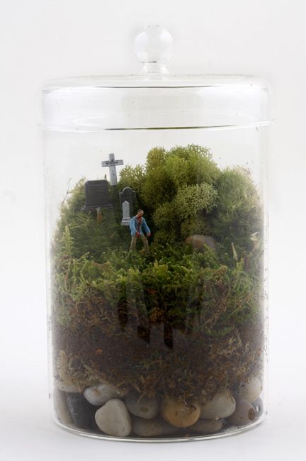 Contained Outbreak | Twig Terrariums | Flickr Zombie Crafts, Fairy Life, Jars Ideas, Aquarium Terrarium, Zombie Party, Moss Terrarium, Magical Fairy, Garden Terrarium, Fairy Light