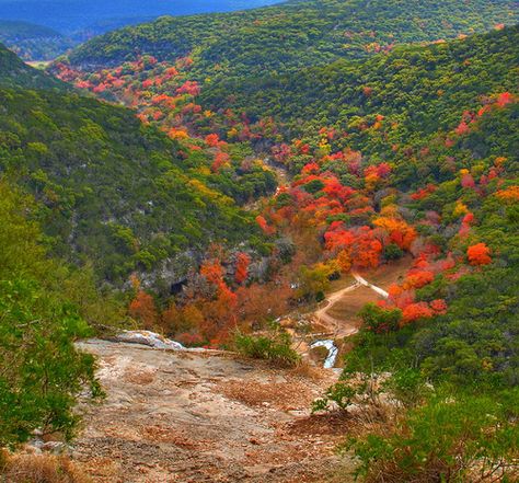 Scenic Overlook, Lost Maples State Natural Area, Vanderpool, Texas Texas Hiking Trails, Lost Maples State Park, Texas Hiking, Hiking In Texas, Texas Road Trips, Texas Bucket List, Texas Adventure, Texas State Parks, Explore Texas