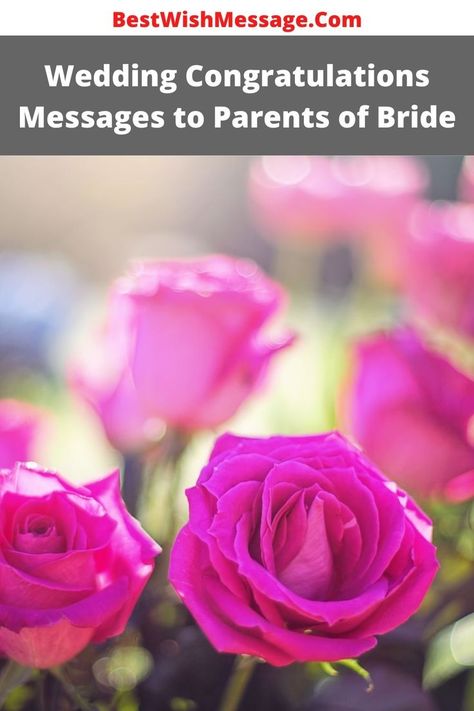 Your daughter is a wonderful kid and she has done everything in a great way in her life. I want to congratulate both of you for her wonderful achievement in life, lots of good wishes, love, and blessings for the girl. May she find all the happiness and joy in her life. Iphone 8 Wallpaper, Wedding Wishes Messages, Pink Wallpaper Ios, Victoria's Secret Pink Wallpaper, Sunset Iphone Wallpaper, Y2k Aesthetic Wallpaper, Iphone 5s Wallpaper, Pink Wallpapers, Beautiful Pink Roses