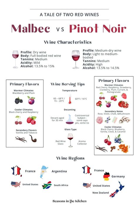 Malbec vs Pinot Noir: Explore the differences, origins, unique flavors, and perfect pairings for these two distinct wines. Syrah Wine, Shiraz Wine, Wine Chart, Malbec Wine, Wine Recommendations, Merlot Wine, Wine Knowledge, Pinot Noir Wine, Food Pairing