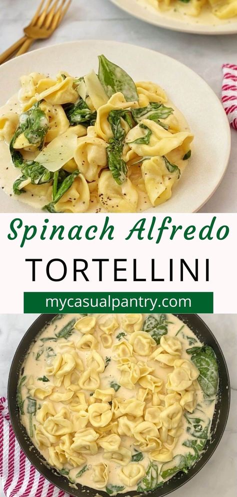 Easy Ravioli Sauce, Tortellini Sauce Recipes, Spinach And Ricotta Tortellini, Alfredo Tortellini, Vegetarian Alfredo, Easy Ravioli, Cheese Tortellini Recipes, Spinach And Ricotta Ravioli, Ravioli Sauce