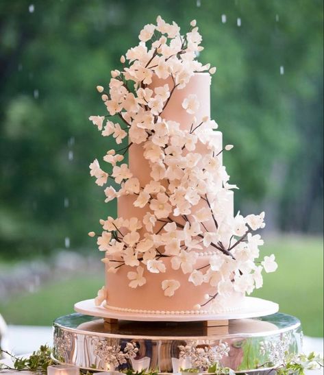 Blossom Wedding Cake, Cherry Blossom Wedding Cake, Cherry Blossom Wedding Theme, Super Torte, Cherry Blossom Party, Cherry Blossom Cake, Cherry Blossom Theme, Wedding Cake Photos, Winter Wedding Cake