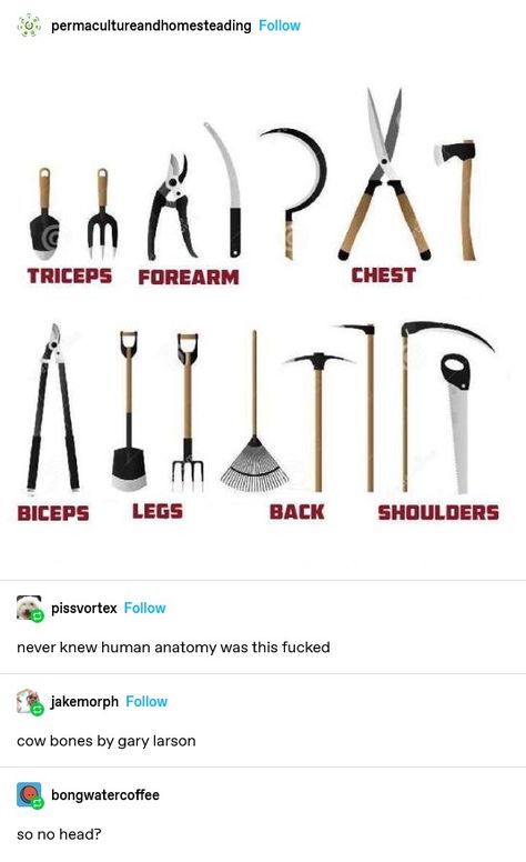 Cow Bones, Funny Tumblr Posts, Human Anatomy, What’s Going On, Funny Me, Tumblr Funny, Tumblr Posts, Popular Memes, Funny Posts