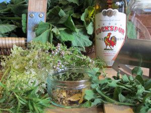 Marshmallow Herb, Medicine Recipes, Mallow Plant, Red Moles, How To Help Nausea, Fresh Sage, Kidney Cleanse, Plant Medicine, Herb Recipes