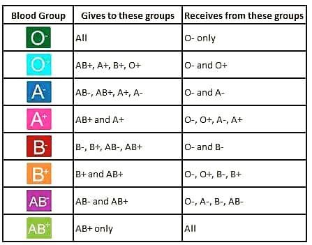 A Negative Blood, Blood Compatibility, Ab Positive, Ab Blood Type, Blood Group, Donate Blood, Medical Videos, Medical Billing And Coding, Blood Groups