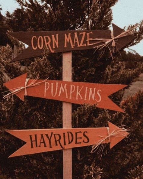 Helloween Wallpaper, Festival Aesthetic, L Wallpaper, Fall Dates, Fall Fest, Cute Fall Wallpaper, Autumn Magic, Corn Maze, Have Inspiration