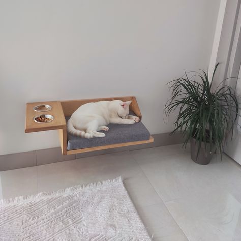 Cat Feeding Shelf, Wall Mounted Cat Bed, Floating Cat Shelves, Food Rack, Food Shelf, Wooden Wall Shelf, Shelf Hardware, Neck Problems, Modern Cat Tree